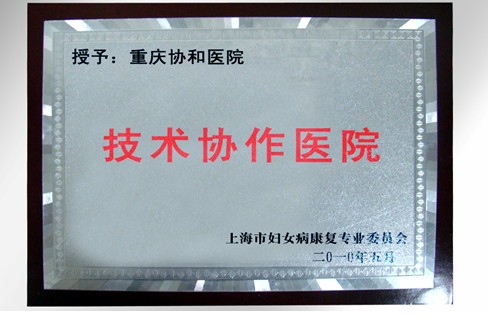 上海市妇女病康复专业委员会技术协作医院